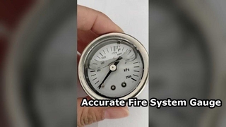 40mm Pressure Gauge 2500kPa For Fire Systems