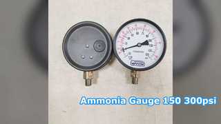 Ammonia Pressure Gauge 100mm 150 300psi NPT