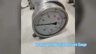 Heavy Duty 250mm Stainless Steel Pressure Gauge