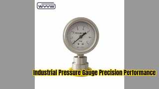 Industrial Diaphragm Pressure Gauge Durable and Precise
