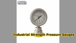 Industrial Diaphragm Pressure Gauge Durable and Precise