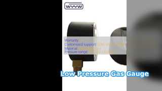 63mm Capsule Pressure Gauge Low Pressure Gas