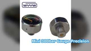 Mini 25mm Pressure Gauge for PCP Pneumatics