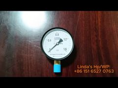 standard pressure gauge