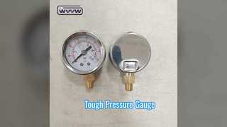50mm Pressure Gauge 25 Bar Bottom Entry