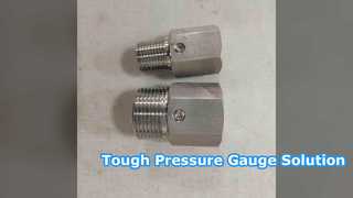 Diaphragm Seal Pressure Gauge Stainless Steel