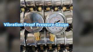 50mm Glycerine Gauge 14Bar 200Psi Bottom Mount