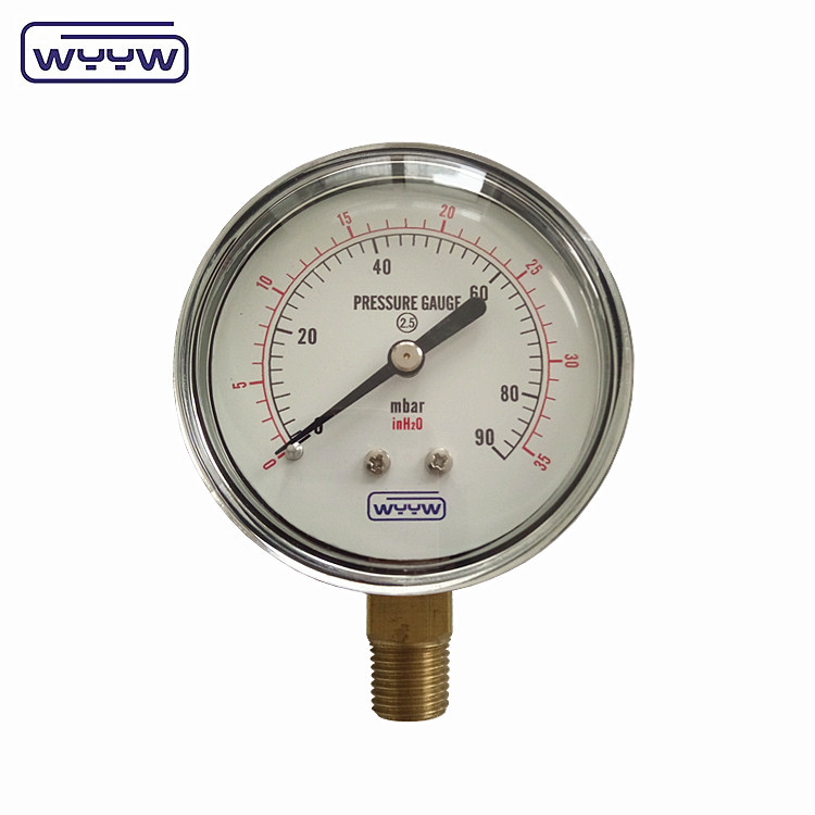 150mbar Low Bellows Type Pressure Gauge Manometer 63mm Bottom Mount