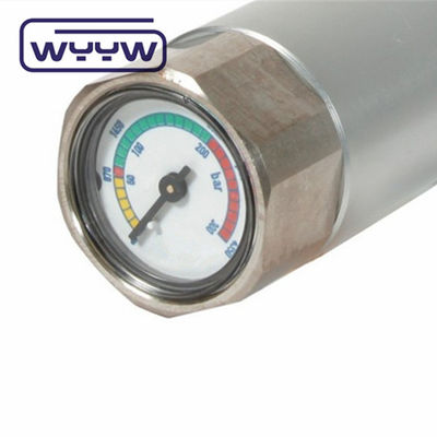 Customized Mini Pressure Gauge Mounting Type Back Mounting