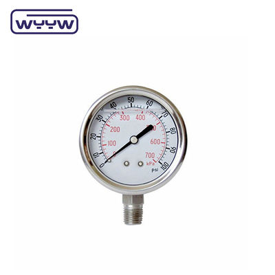 Silicone / Glycerine Liquid Filled Pressure Gauge 0-600bar Aseismic