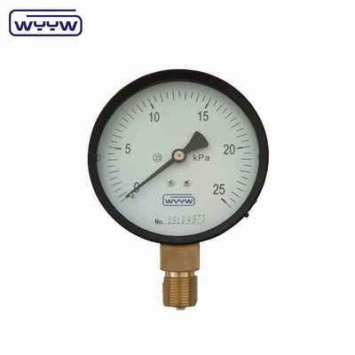 Capsule Pressure Gauge 100 Mbar Bellows Manometer 100mm G1/2&quot;