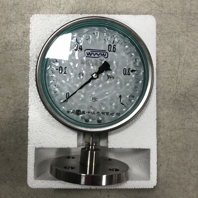 DN25 Flange Size Diaphragm Pressure Gauge with Bottom Mount and Bourdon Tube Configuration for Industrial Applications