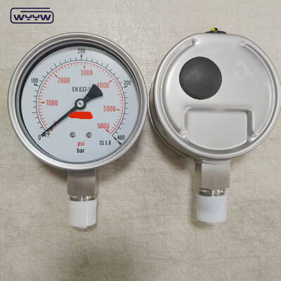 Silicone Glycerine Filled Bezel Ring Pressure Gauge with 100mm Dial and Bottom Mount for Industrial Applications