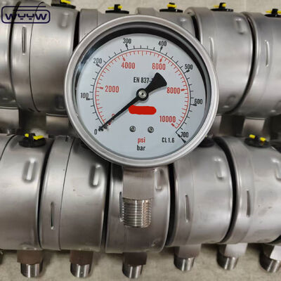 Silicone Glycerine Filled Bezel Ring Pressure Gauge with 100mm Dial and Bottom Mount for Industrial Applications