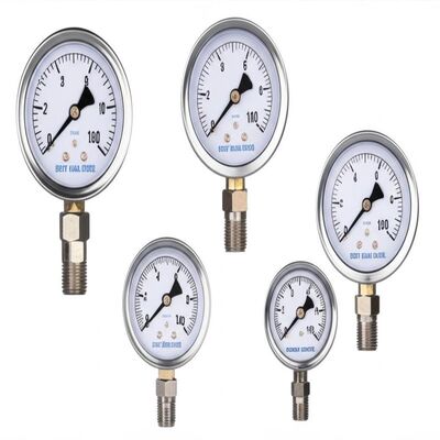 Industrial Standard Pressure Gauge with Bourdon Tube Movement, Clear Legible Dial, and Versatile Mounting