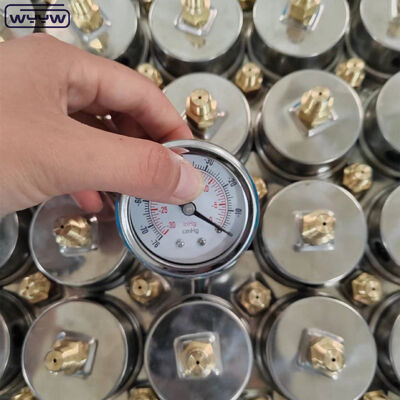 Stainless Steel Vacuum Pressure Gauge with 2" Dial Size and Custom Pressure Range