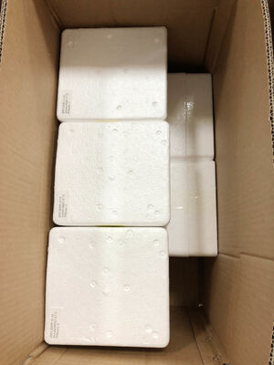 6" 0-1.6MPa Remote Pressure Gauge – 1.6% Accuracy | Real-Time Readings